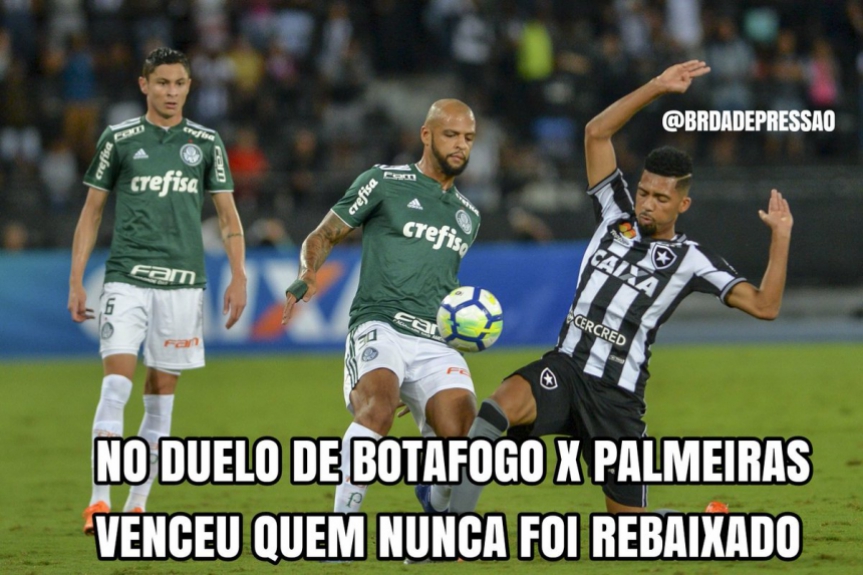 Botafogo 1 x 1 Palmeiras