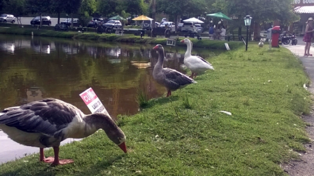 Conheça o refúgio do Botafogo no interior do Espírito Santo