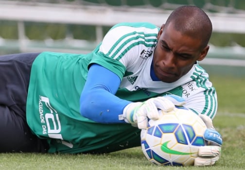 Jailson, goleiro do Palmeiras (Ag. Palmeiras)