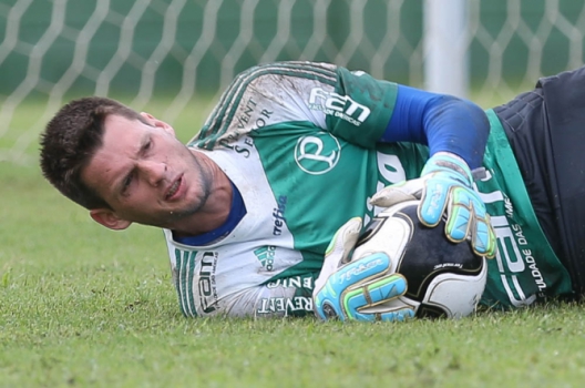 Vagner, goleiro do Palmeiras (Ag. Palmeiras)