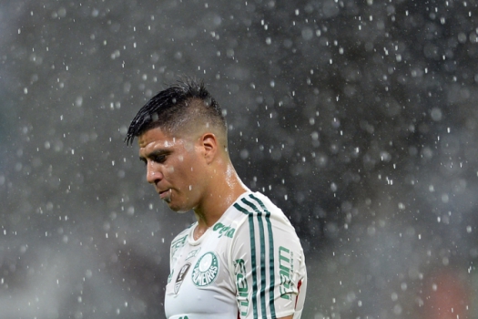 Campeonato Paulista - Palmeiras x Ferroviária