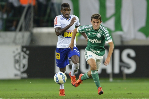Palmeiras x Cruzeiro (Foto: Mauro Horita/Lancepress!)