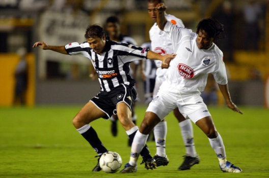 Botafogo - 2004 - Luizão