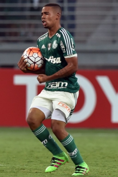 O jovem Gabriel Jesus vem se destacando pelo Verdão em 2016