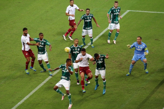 Brasileirão - Palmeiras x Fluminense (foto:Eduardo Viana/LANCE!Press)