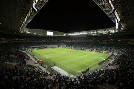 Brasileirão - Palmeiras x Fluminense (foto:Eduardo Viana/LANCE!Press)