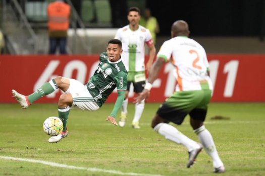 Cuca aconselha Jesus a continuar no Palmeiras e deixa portas abertas a Tite 1