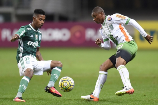 Palmeiras x América-MG