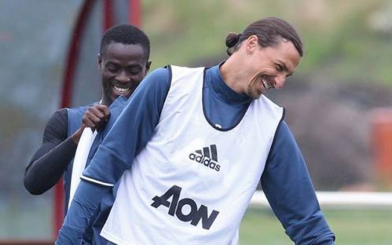 Ibrahimovic