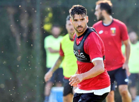 Miguel Veloso