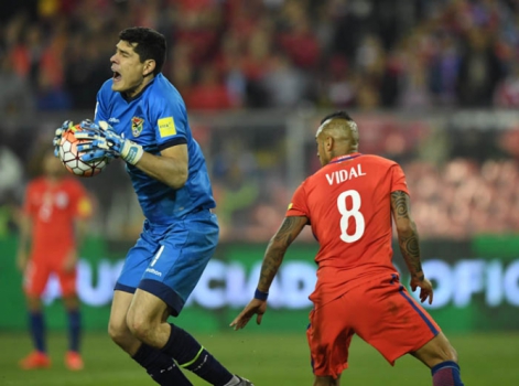 Vidal - Chile