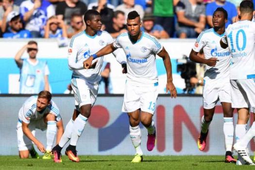 Hoffenheim x Schalke 04