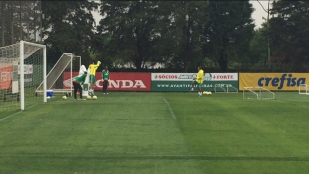 Prass veste luvas e faz as primeiras defesas no Palmeiras após cirurgia