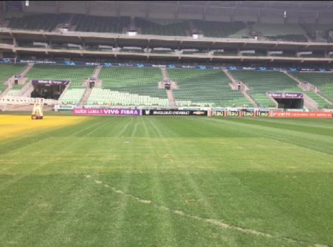 WTorre vê campo do Allianz Parque em 75% do seu ideal; veja fotos