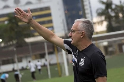Dorival Júnior decidirá com quantos dias de antecedência Peixe irá viajar na Libertadores (Foto: Ivan Storti / Santos FC)