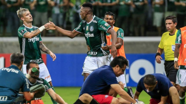 Mesmo sem título, Palmeiras tem melhor ano no Allianz Parque