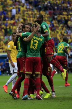 Camarões - Copa do Mundo 2014