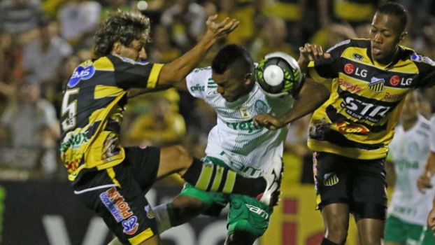 Borja volta a marcar, Verdão vence o Novorizontino e se aproxima da semi