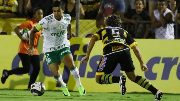 Palmeiras x Novorizontino: prováveis times, desfalques, onde ver e palpites