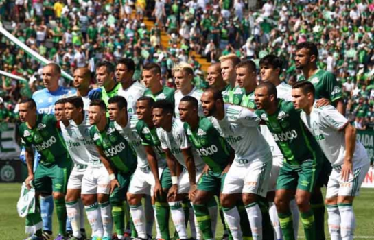 Chapecoense x Palmeiras: prováveis times, onde ver, desfalques e palpites