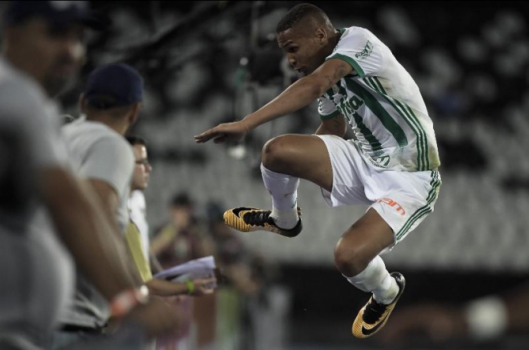 Palmeiras vence o Botafogo, segue em ascensão e trava o rival no Brasileiro