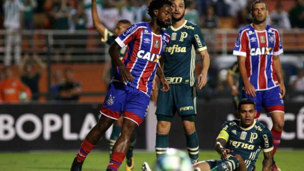 Título? Palmeiras vê Bota colar na briga por vaga direta na Libertadores