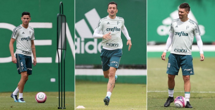 Saiba quando o Palmeiras planeja ter Dracena, Diogo Barbosa e Moisés