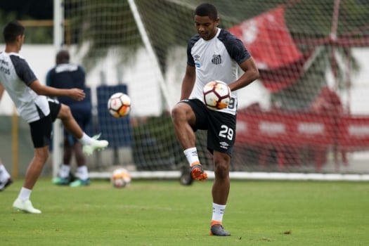 Zagueiro David Braz está recuperado (Foto: Ivan Storti/Santos)