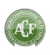 Escudo - Chapecoense