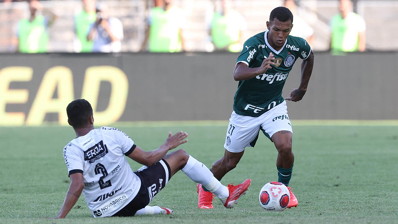 Lembre como foi a trajetória do Palmeiras jogo a jogo no Paulistão 2022 –  LANCE!