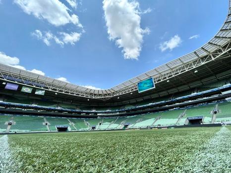 Palmeiras vai arrecadar alimentos para o povo Yanomami em jogo no Allianz Parque