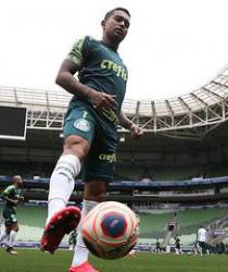 Dudu Palmeiras