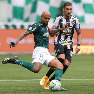 Palmeiras x Botafogo