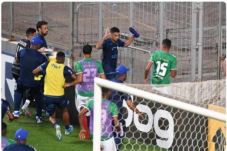 Jogadores de Cruzeiro e CSA se envolveram em uma briga generalizada no Independência
