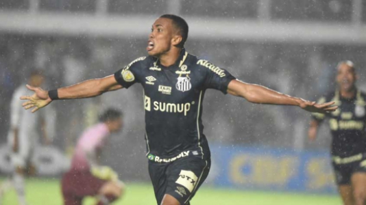 Santos x Fluminense - Comemoração Santos