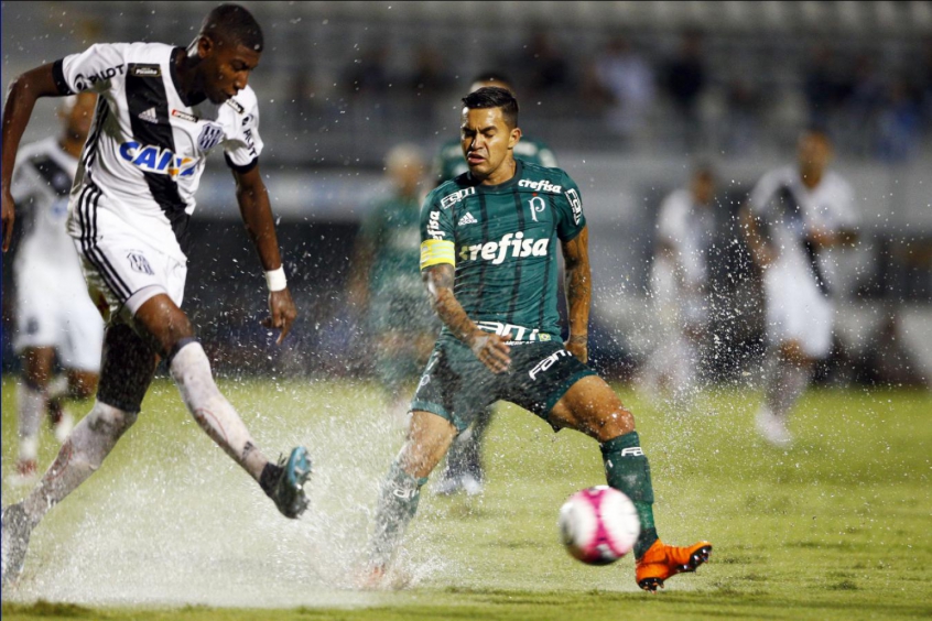 Ponte Preta x Palmeiras