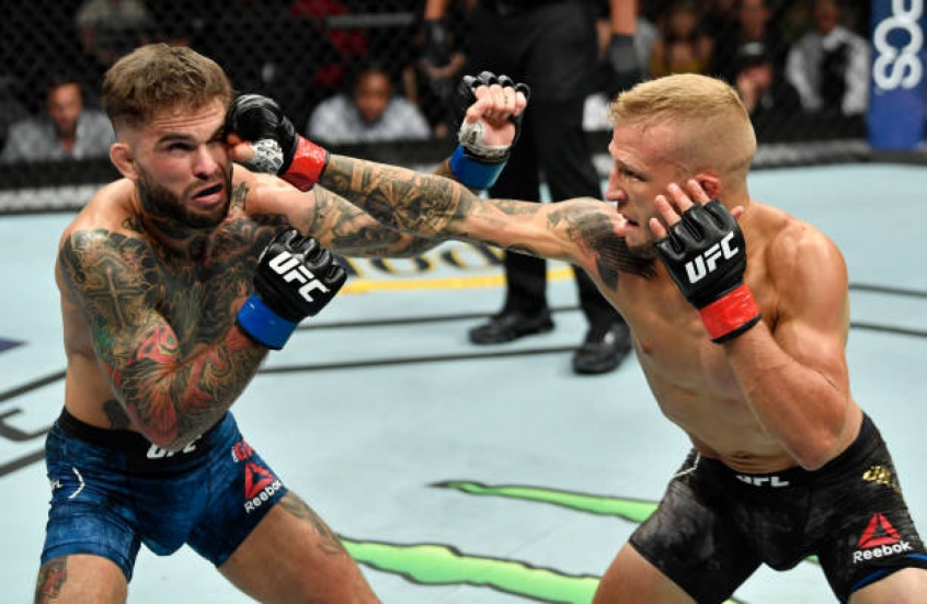 TJ Dillashaw