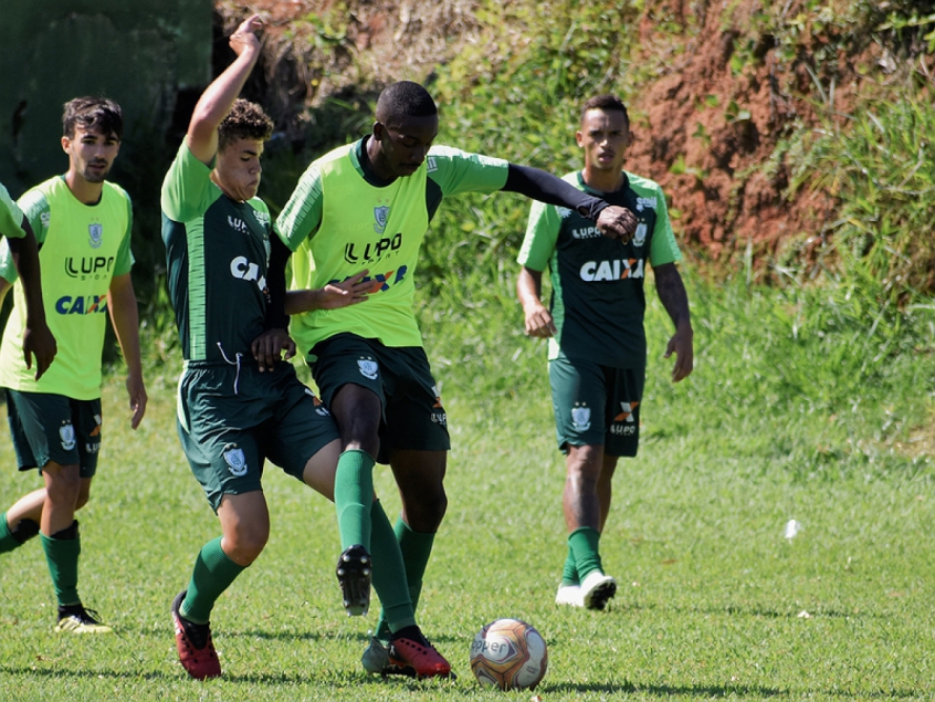 Coelho