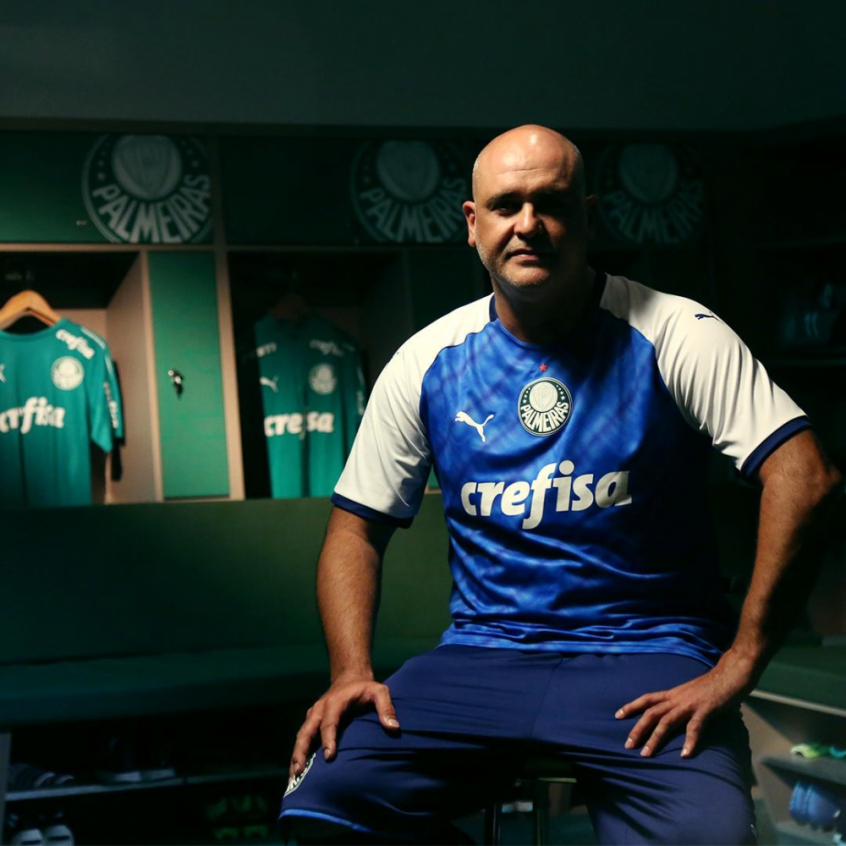 camisa goleiro treino palmeiras puma