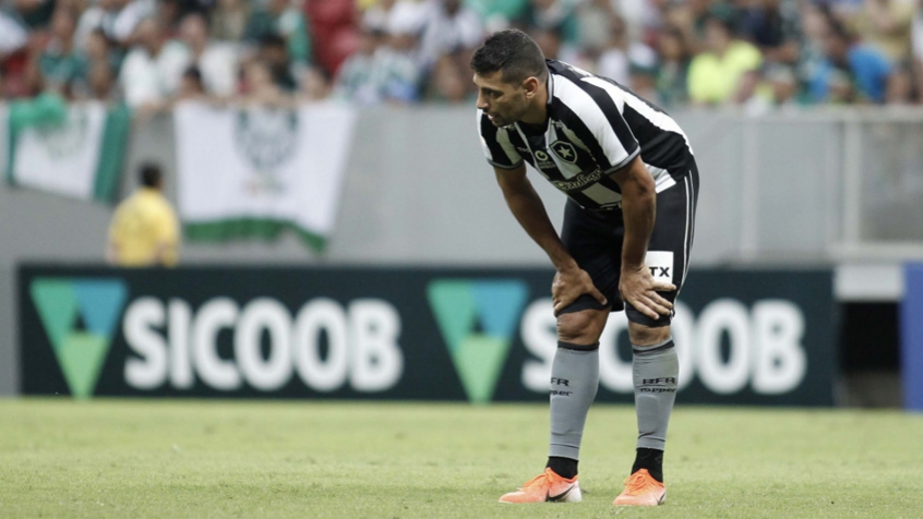 Botafogo x Palmeiras Diego Souza