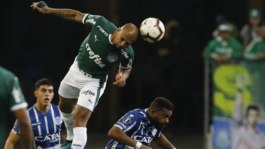Palmeiras x Godoy