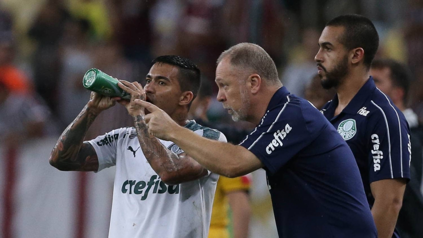 Verdão inicia planejamento da equipe e até gramado sintético é um fator; entenda