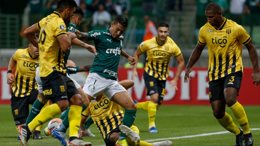 Resultado de imagem para palmeiras guaraní
