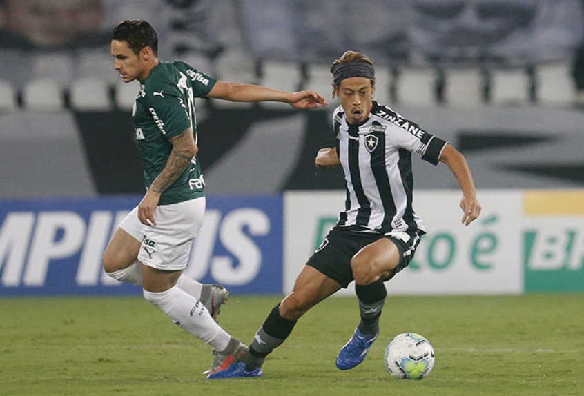 Botafogo vence, sai do Z4 e dá fim a série invicta do Palmeiras no BR