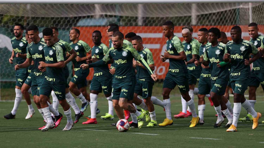Palmeiras treino