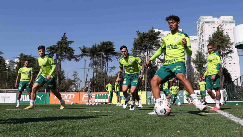 palmeiras treino libertadores