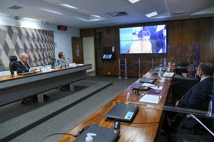 Depoimento Celia Monasterio ao Senado