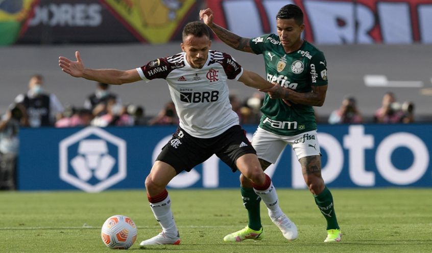 Palmeiras x Flamengo - Renê