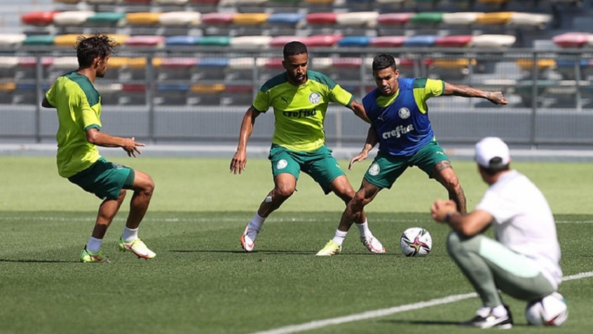 Palmeiras volta parecido para a competição, mas com mudanças significativas