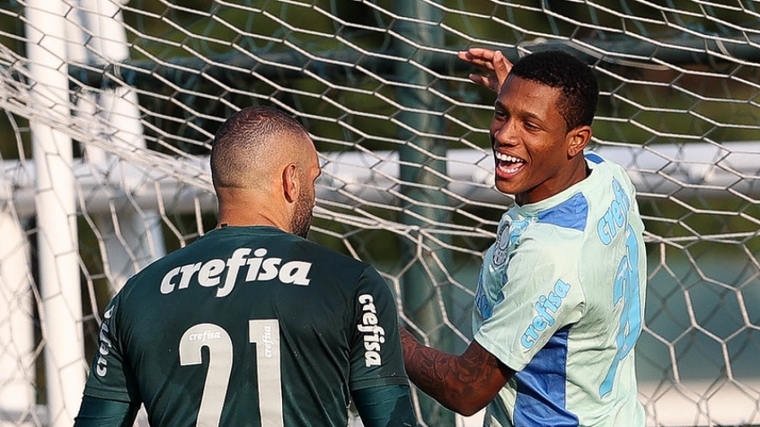 Danilo e Weverton - Palmeiras